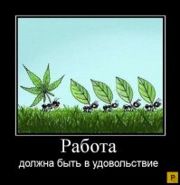 Профессии, с которыми долго не проживешь