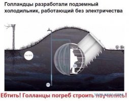 Волосатая жопа