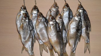 что то рыбы захотелось ....