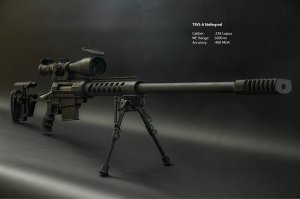 Винтовка SSG08 в калибре .338 Laoua: цена (приблизительная) - 670000 рублей.

ВИНТОВКА ТСВЛ-8 «СТАЛИНГРАД» в том же калибре: цена начинается от 453623 рублей.

Ствол SSG08 изготавливается по технологии ротационной ковки и дает большее рассеивание, чем ствол винтовки ТСВЛ-8, который изготавливается по технологии однопроходного резания.