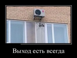 20 фотографий, которые выведут из себя самого уравновешенного человека 