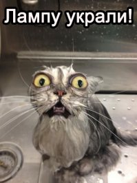 Воспитал препода