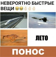 Смешные и пошлые картинки 