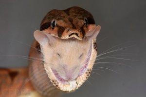 Ужасы и приколы из соцсетей