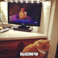 Эти животные такие разные! И все же они - неразлучные друзья!