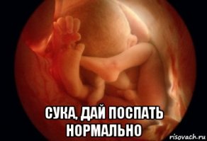 Весь интернет обсуждает перекачанный пресс и штангу в руках беременной фитнес-леди