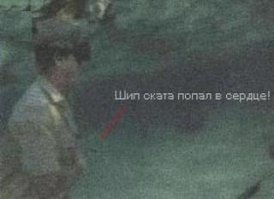 Всю жизнь был охотником на крокодилов, а погиб от рыбы, у которой даже нету чешуи((