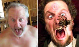 Марв из "Один дома" повторил незабываемый крик при встрече с пауком