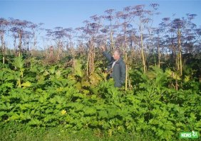 Держись от "зонтика" подальше