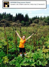 Держись от "зонтика" подальше