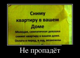 30 шедевральных объявлений из наших подъездов