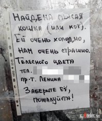 30 шедевральных объявлений из наших подъездов