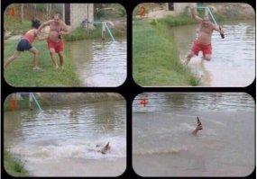 вот этот инстинкт бесценен!!!