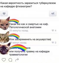 Ужасы и приколы из соцсетей