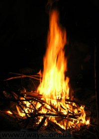 Ловец покемонов перекрасил свою собаку под Пикачу