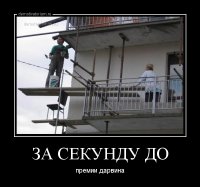 10 примеров того, как фотографы поймали «удачный» момент