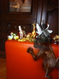 снято дома 2 года назад