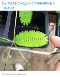 Сам мусульманин, но про другие реллигии хоть немного но знаю)!