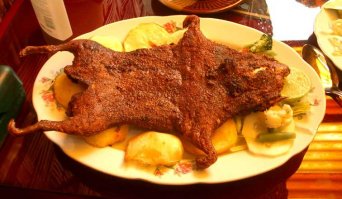 И главное очень довольны местные жители...Теперь после каждого запуска у них очень много еды.