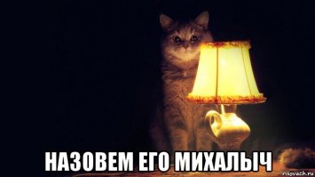 Легенды сумасшедшего дома