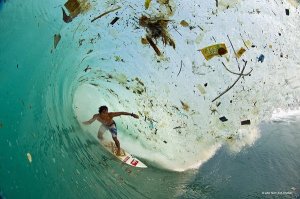 Вот почему нельзя пить морскую воду. ;)