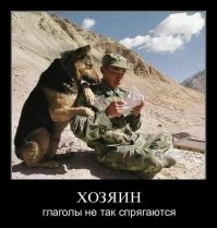 Номиманты на премию Дарвина