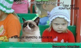  На деревню к бабушке: как отдыхали дети в СССР