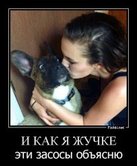 Маленькие пушистые сорванцы, без которых жизнь была бы ужасно скучной