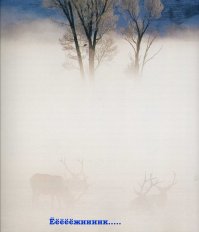 Фотографии, которые стоят тысячи слов. 79 архивных снимков от National Geographic