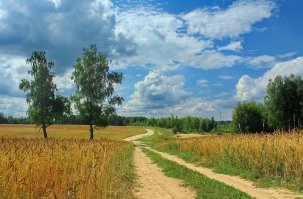 Красота мира