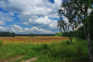 Красота мира