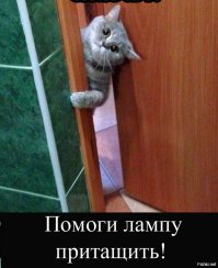 Этот неловкий момент!