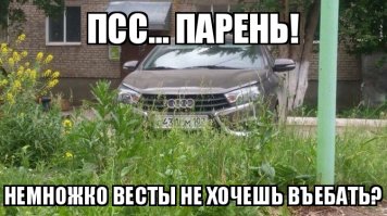 Свежая подборка автоприколов