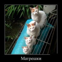 Это кккомбо!