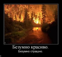 Ужасная красота пожаров в Калифорнии