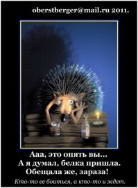 Пьяный ежик