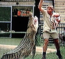 Вот тоже был любитель дёргать судьбу за хвост. Доигрался до минусовой отметки, дебил.