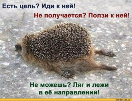 Пьяный ежик