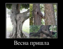 А уж что деревья вытворяют! Просто ужас.
Не водите детей в лес, да и депутатов тоже.