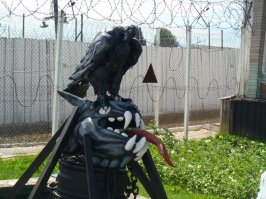 автор, ты уж если копипастишь тексты, так хоть картинки не забывай прикладывать.

Собственно - черный беркут