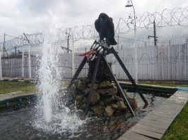 автор, ты уж если копипастишь тексты, так хоть картинки не забывай прикладывать.

Собственно - черный беркут