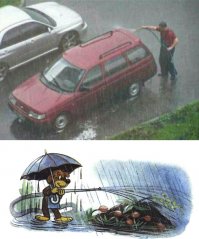 Чем то напомнило