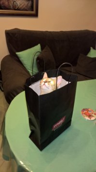 Наши попрошайки и бандиты :)