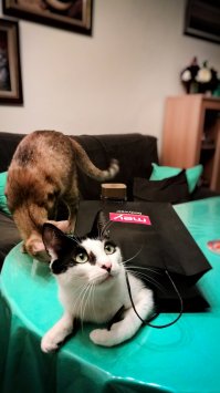 Наши попрошайки и бандиты :)