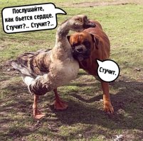 Пост о настоящей дружбе