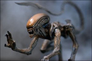 Размер имеет значение: ох уж эти женские прически 60-х