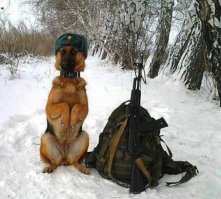 Удивительные снимки с российских просторов