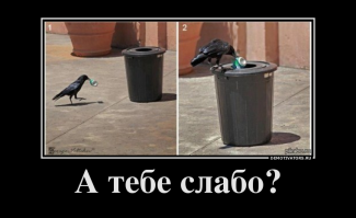 А вам слабо?