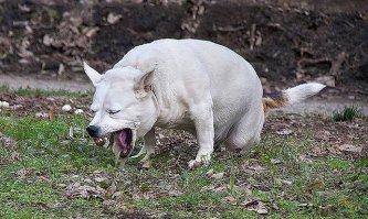 Расписная какая - ужос!