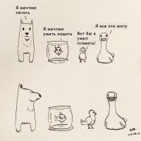 Карикатуры